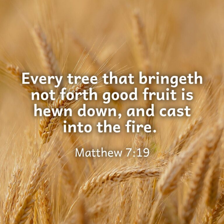 Every tree