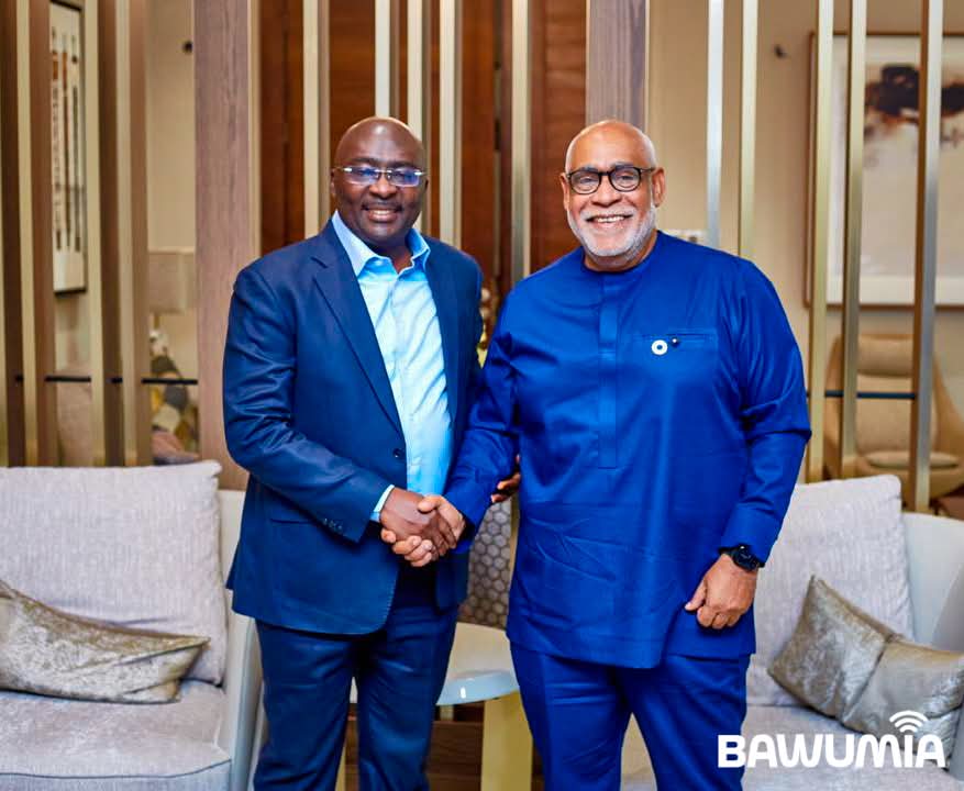 Bawumia UN