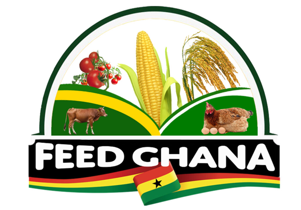 Feed-Ghana-Project-22