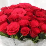 ROSE 22