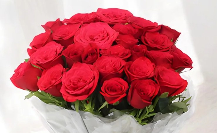 ROSE 22